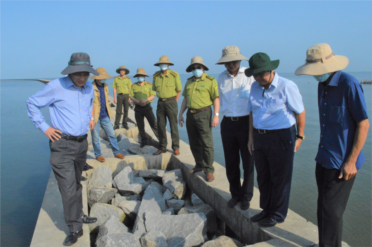 Kiên Giang: giám sát việc phá rừng nuôi trồng thuỷ sản không đúng quy hoạch (19/3/2021)